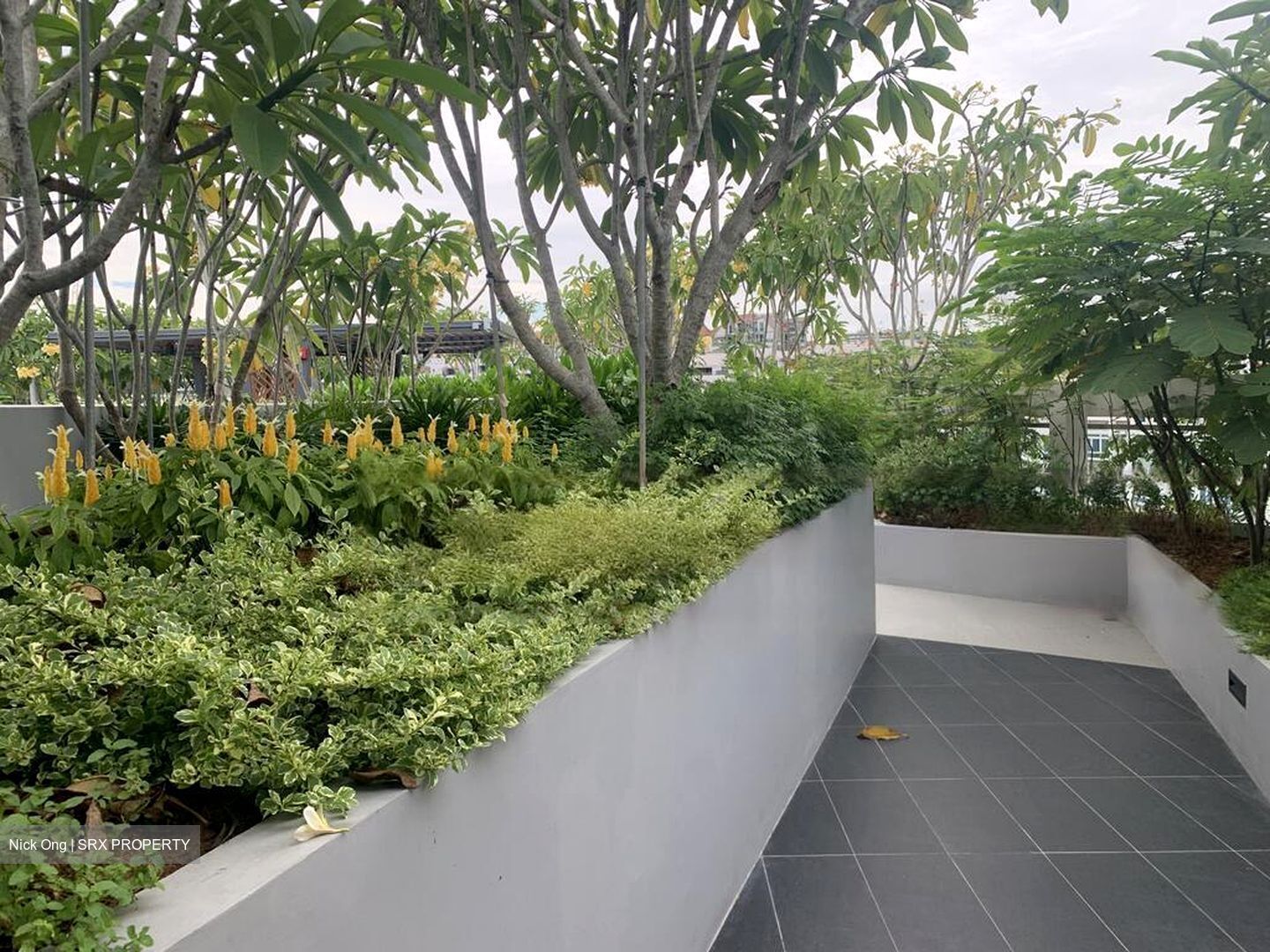 Harbour View Gardens (D5), Apartment #467677961